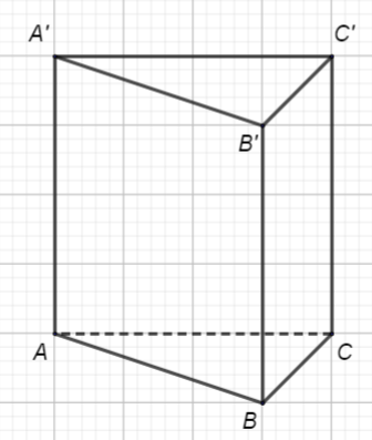 Figura asociată problemei