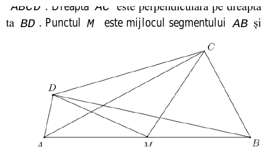 Figura asociată problemei