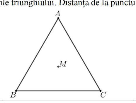 Figura asociată problemei